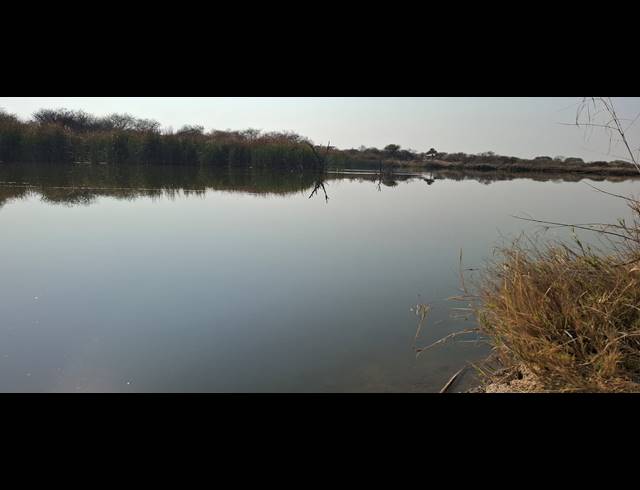 635HA FARM FOR SALE IN MARBLE HALL RURAL